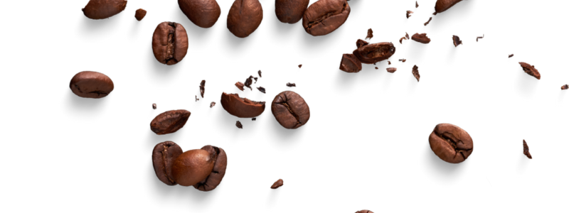 Imagem de grãos de café torrado, espalhados em um fundo branco. Grão quebrados e inteiros se espalham de forma aleatória pela imagem.